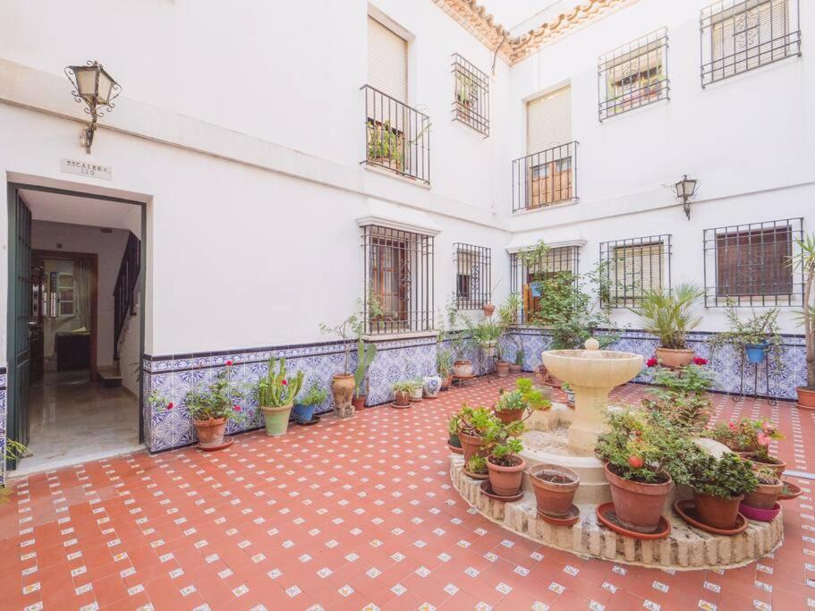 Mezquita Premium Daire Cordoba Dış mekan fotoğraf