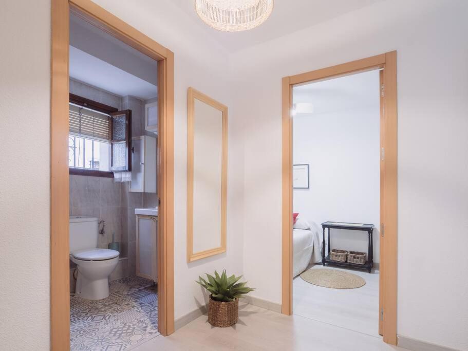 Mezquita Premium Daire Cordoba Dış mekan fotoğraf
